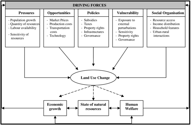 Environmental impact of palm oil