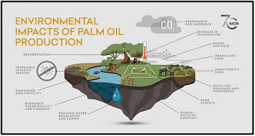 Sustainable palm oil